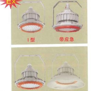 ĐÈN LED CHỐNG CHÁY NỔ XLMKC BZD180-099-30W