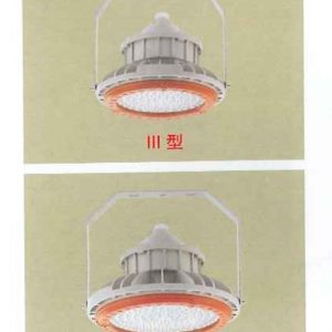 ĐÈN LED CHỐNG CHÁY NỔ XLMKC BZD180-099-30W